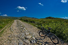 山,自行车,山地自行车