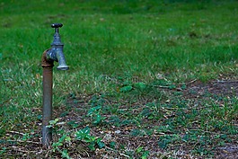 起重機(jī),草,水