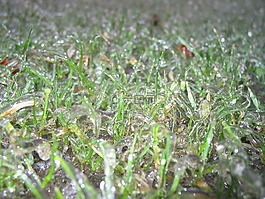 凍結(jié),冰雨,冷
