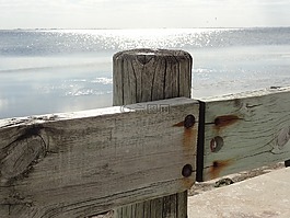 海洋,籬笆,水