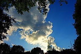 樹的頂端,天空,云