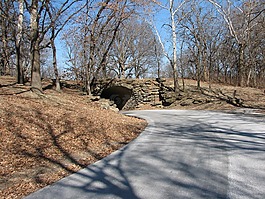 路,隧道,樹(shù)