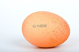 鸡蛋,白,淡褐色