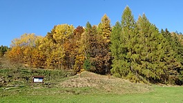 开国元勋,波兰,国家公园
