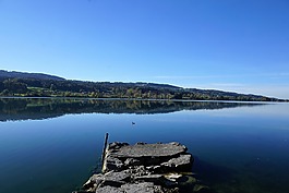 格里芬湖,蘇黎世,廣東