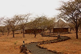 野生動物園,營,帳篷