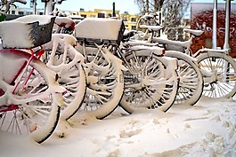 雪,冬天,寒冬