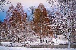 冬天,雪,寒冬