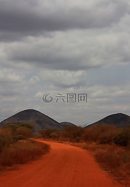 野生動物園,路,橙色