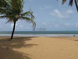 海灘,晚間,一天