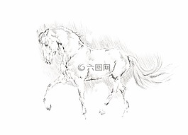 插圖,馬,動物