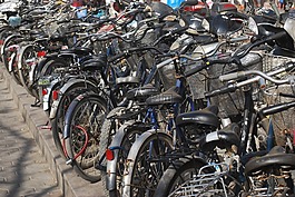 自行車,運(yùn)動(dòng),戶外