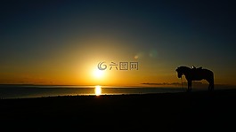 日出,馬,河