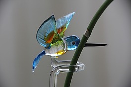 蜂鳥,蘭花,廠