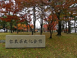 日本,公園,亞洲