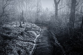 河,凍結(jié),霧