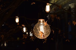 燈泡,秋,葉子