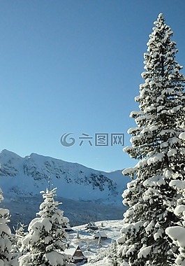 特拉,山,雪