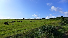 臺(tái)灣,墾丁,籠仔埔大草原