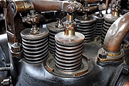 kleppenkast,閥門,羽毛