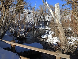 冬天,雪,河