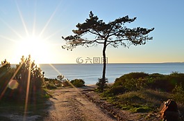 景觀,海,海洋