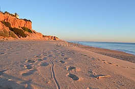 海灘,景觀,海