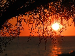 海,日落,太陽