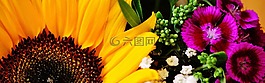 花束,太陽花,夏季