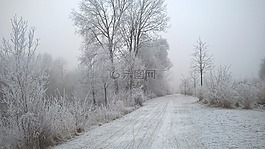 冬天,景观,冰