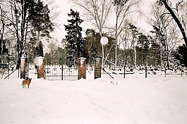 公墓,冬天,墓地