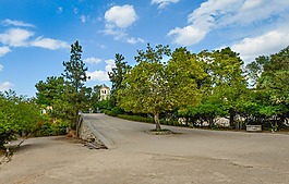 教堂,樹(shù),雅典