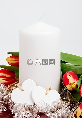 開花,蠟燭,裝修