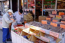 旅行,中國小鎮(zhèn),多倫多
