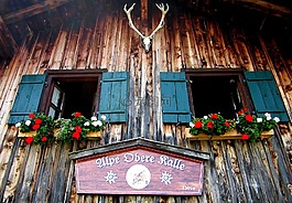 alpe,棚屋,阿爾姆