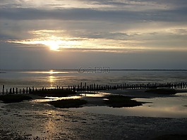 日落,海灘,落潮