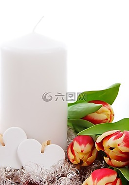 開花,蠟燭,裝修