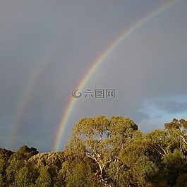 彩虹,上午,gumtrees