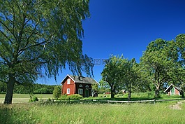 瑞典,藍(lán)藍(lán)的天空,景觀