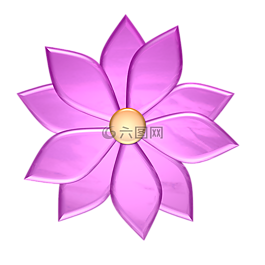 花,粉紅色,花的