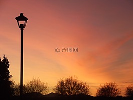 日落,側(cè)影,樹