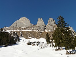 山,雪,冬天