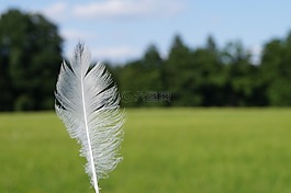 春天,輕量,向下