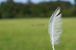 春天,輕量,向下