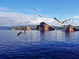 島,海灘,mar