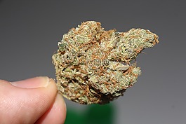 雜草,大麻,斯托納