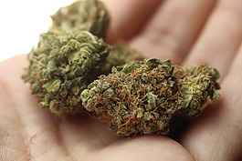 雜草,大麻,斯托納