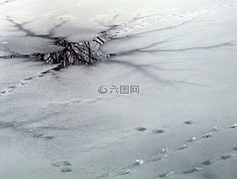 薄的冰,冰,冰凍的池塘