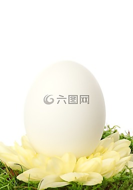 慶典,簡(jiǎn)單,裝修