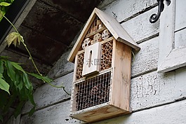 insektsbo,昆虫,花园